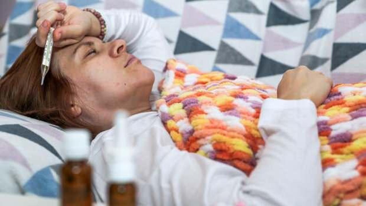 Uzmanından salgın uyarısı: Sineklere dikkat!