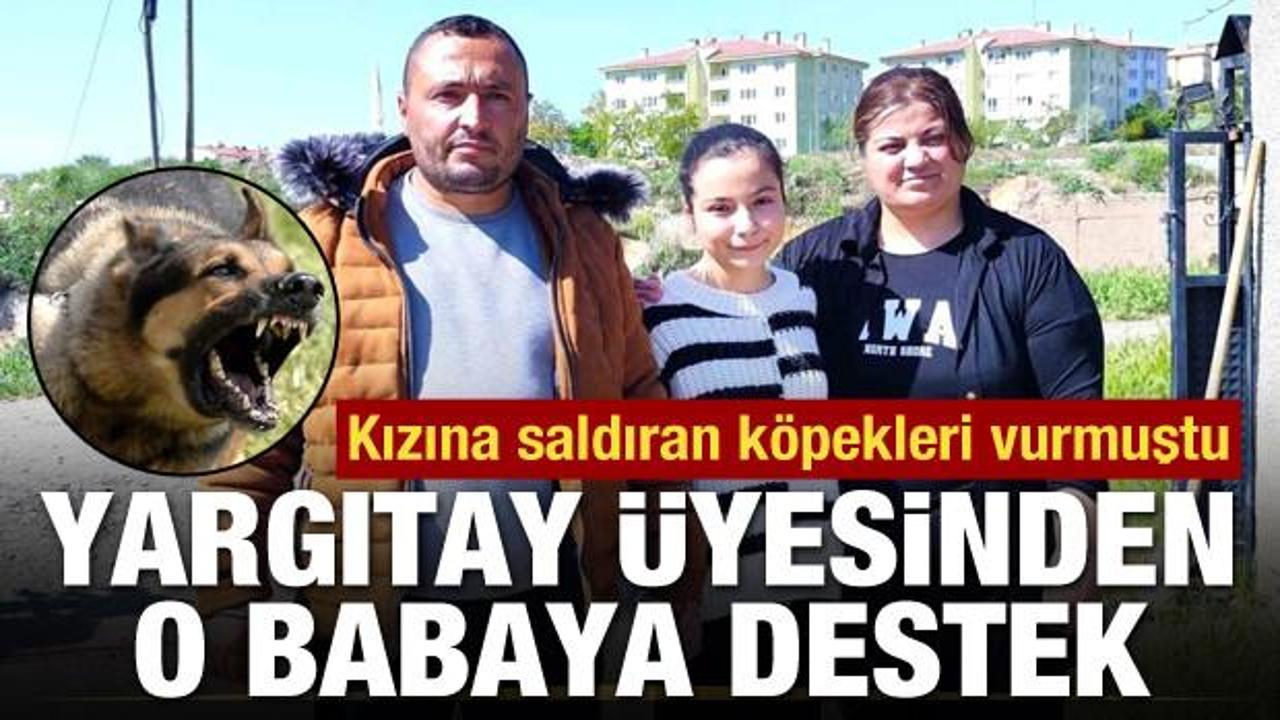 Yargıtay üyesinden kızına saldıran köpekleri vuran babaya destek!