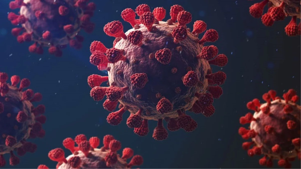 Dünya Yeni Bir Tehlikeyle Karşı Karşıya! Maymun Çiçeği Virüsünden Korunmanın Yolu