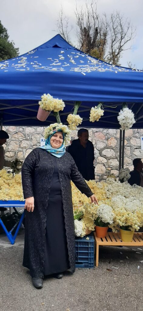 Zübeyde Gül ile Propolis Özütleme Sanatı: Doğal Antibiyotik ve Bağışıklık Desteği