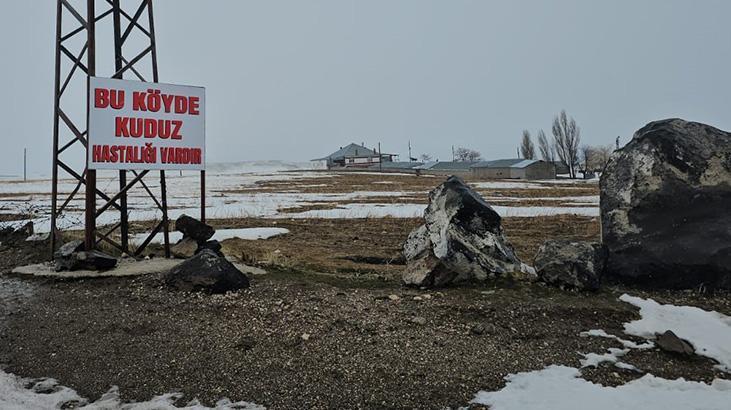Bitlis Adilcevaz’da Kuduz Alarmı: Kömürlü Köyü Karantinaya Alındı